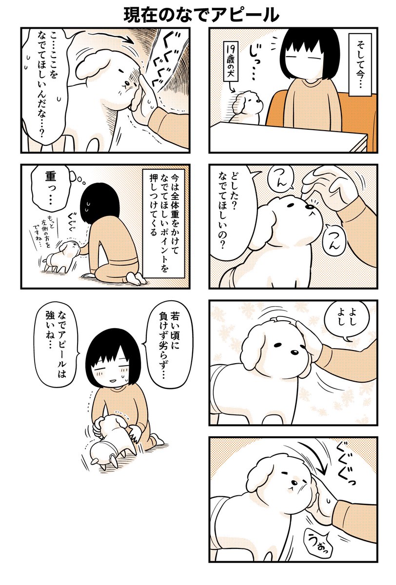 犬の撫でてアピールがかわいい

激しくてかわいい☺️ 