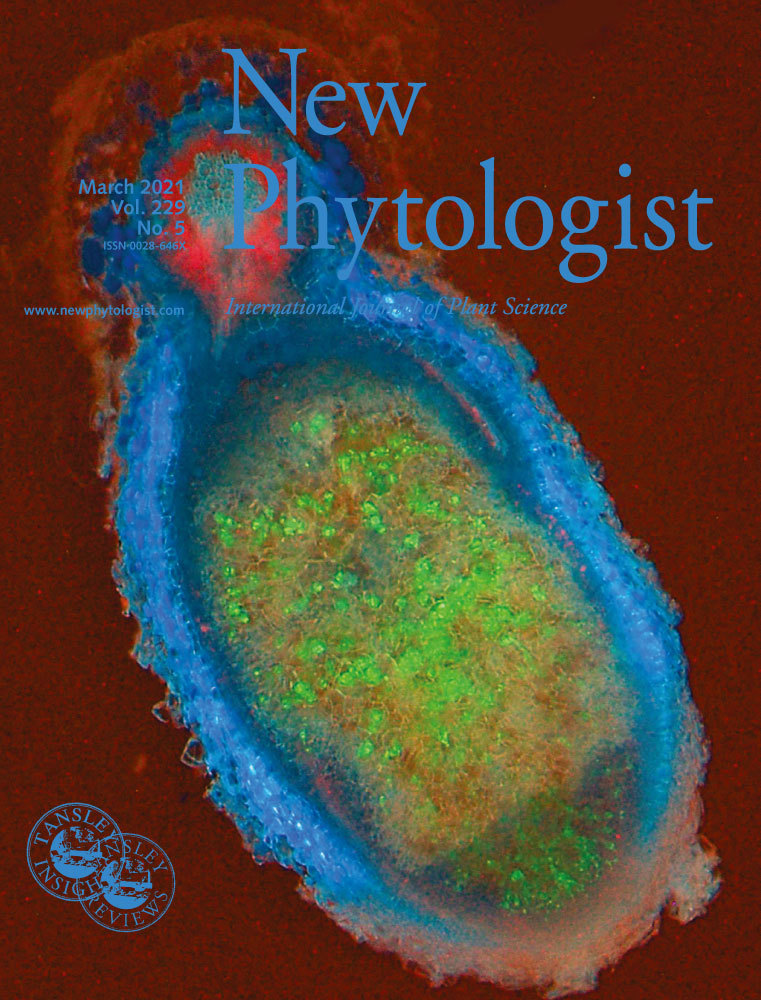 "Can we develop crops that are more resilient to climate fluctuation without yield loss?"

<a href="/Gaowen_Yang/">Gaowen Yang</a>  reports "Soil biodiversity enhances the persistence of legumes under climate change" in <a href="/NewPhyt/">New Phytologist</a> 

 doi.org/10.1111/nph.17…

#100PlantQuestions