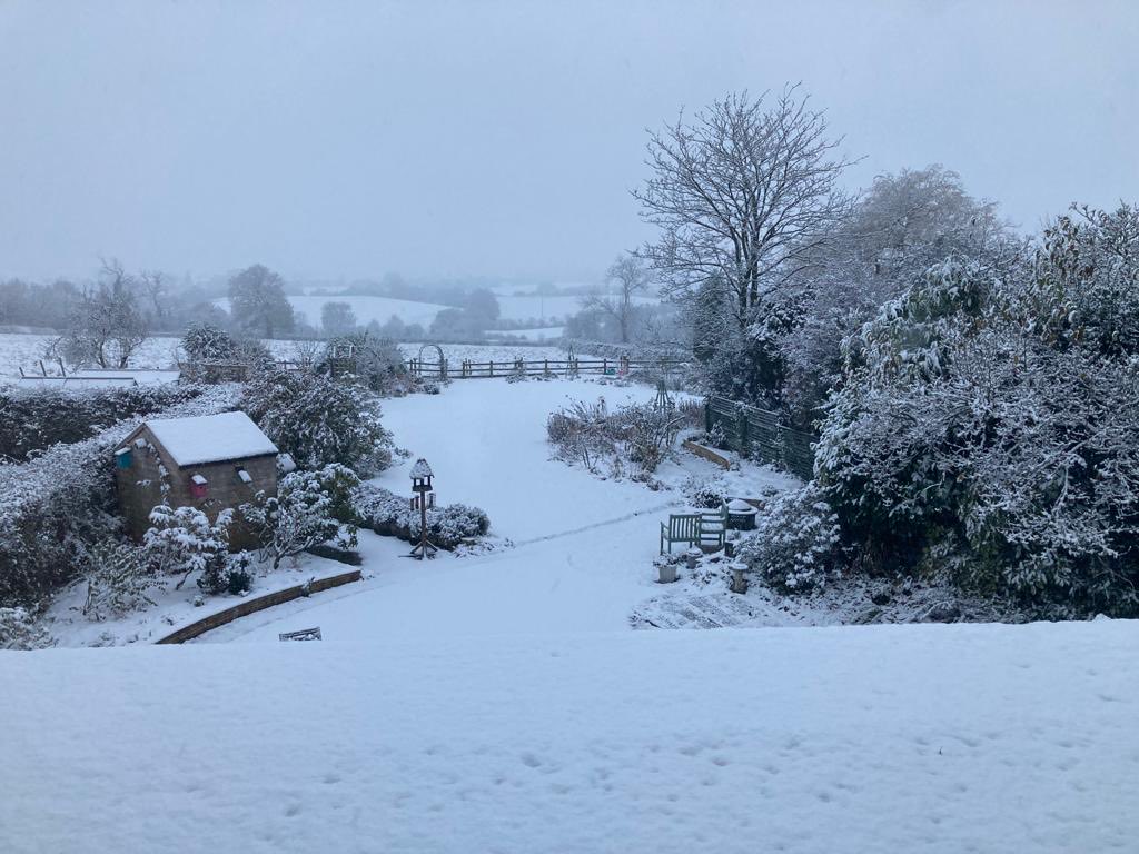 Neige en novembre…..Noel en décembre….