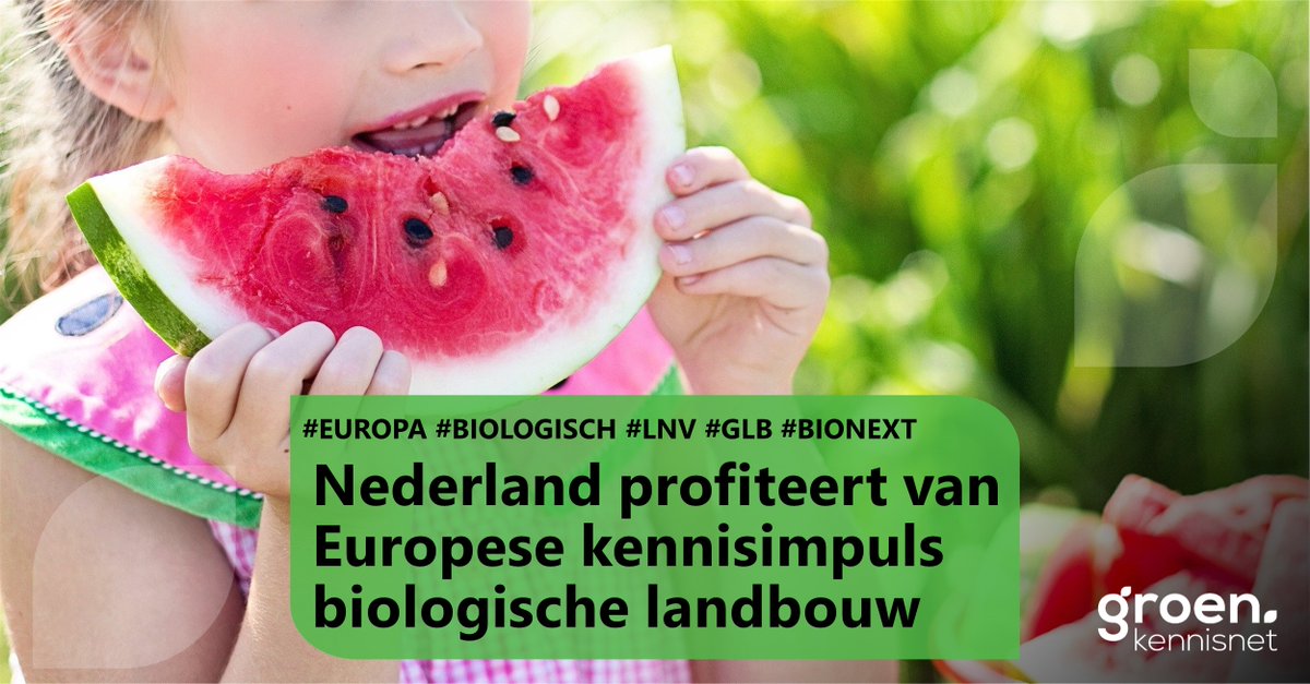 groenkennisnet's tweet photo. Internationaal onderzoek levert praktische kennis op voor innovatie op het boerenerf. CORE Organic is een mooi voorbeeld van zo’n netwerk, waar de afgelopen 15 jaar 45 projecten zijn uitgevoerd ten behoeve van de biologische landbouw. 
https://t.co/AsMek7RL9x #Bio #GLB #LNV https://t.co/FGYdrwE7W5