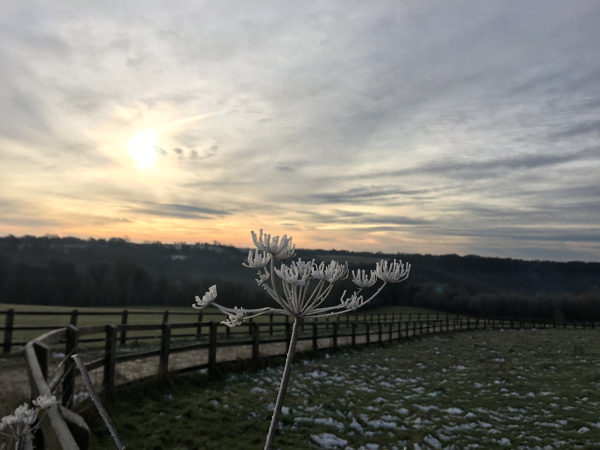 Who else has seen some dramatic, #frosty views this week?