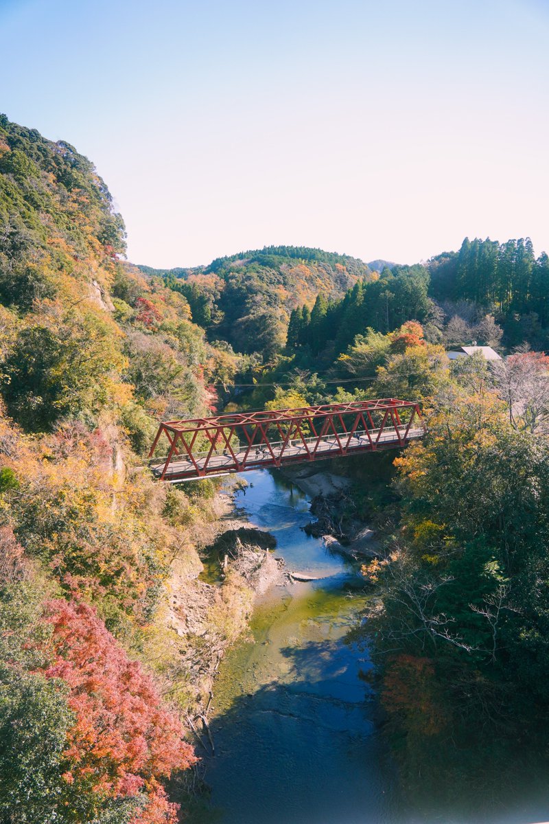 ichiharaartmix's tweet photo. 【養老渓谷の紅葉が見頃に】
開幕11日目です。
関東一遅い紅葉と呼ばれる養老渓谷。例年12月上旬にピークを迎えるこの地で、今年も木々の葉が色づき始めました。
養老渓谷エリアにお越しの際は、アート作品と合わせて紅葉の景色���お楽しみください。 https://t.co/IsV7dChqEi