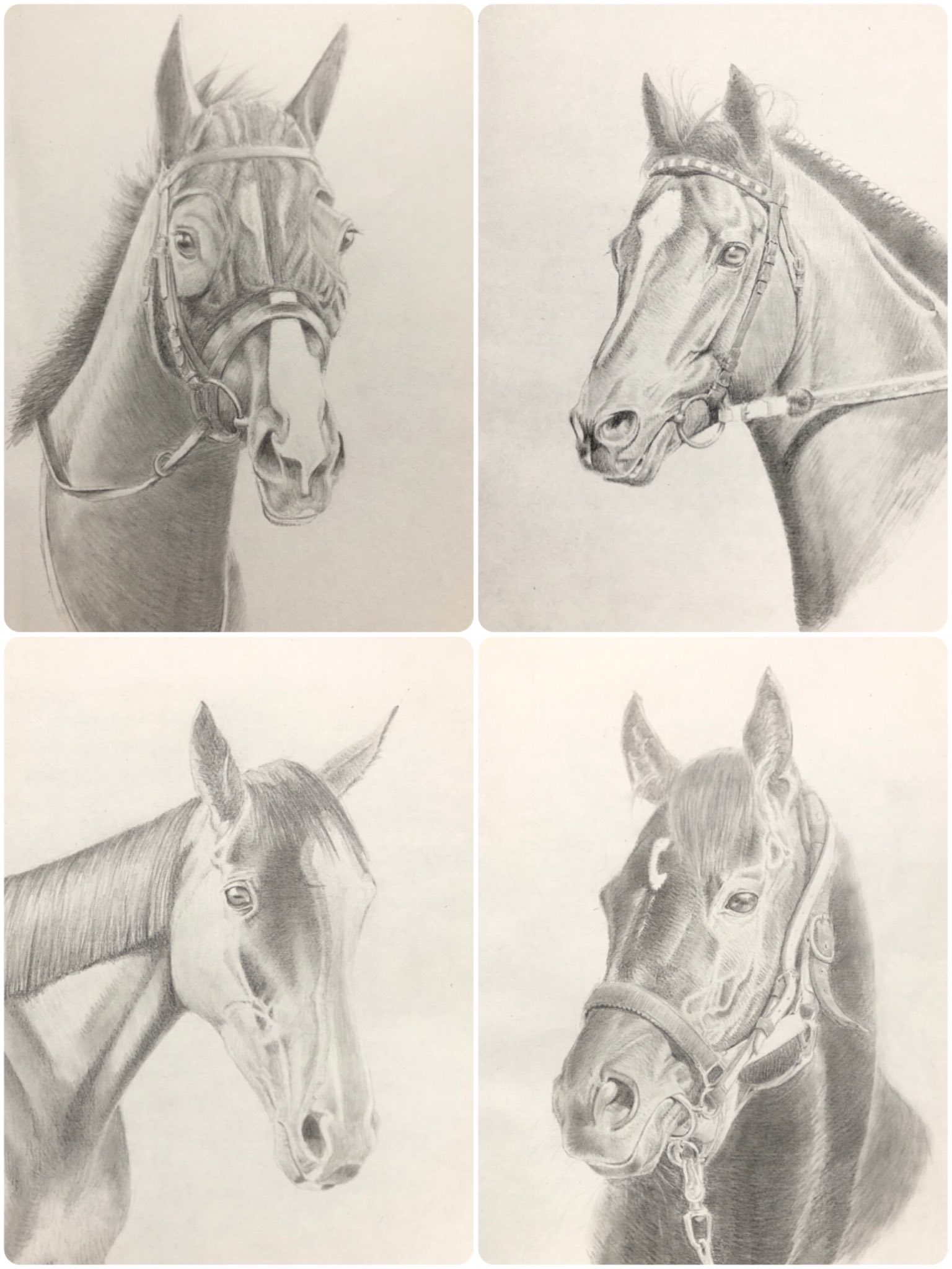 こしろページ エフフォーリア 鉛筆画