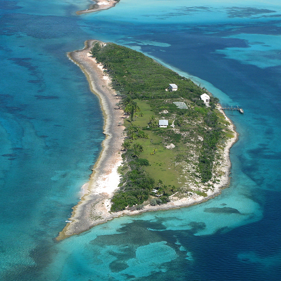 Vladi Private Islands tweet media