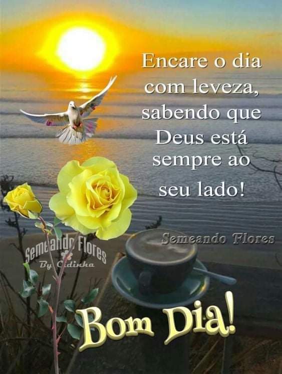 Rosália Rita Biasi. on Twitter: Rosália Rita Biasi. on Twitter: