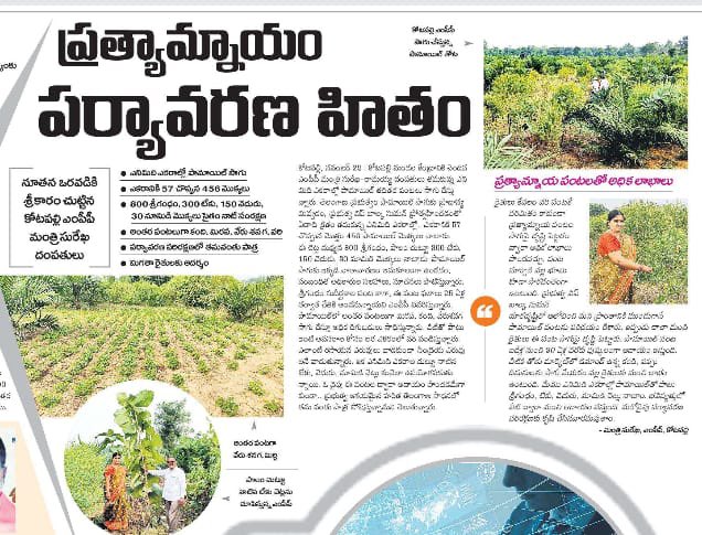 balkasumantrs's tweet photo. #OilPalmCultivation https://t.co/SvJCgJibt2
