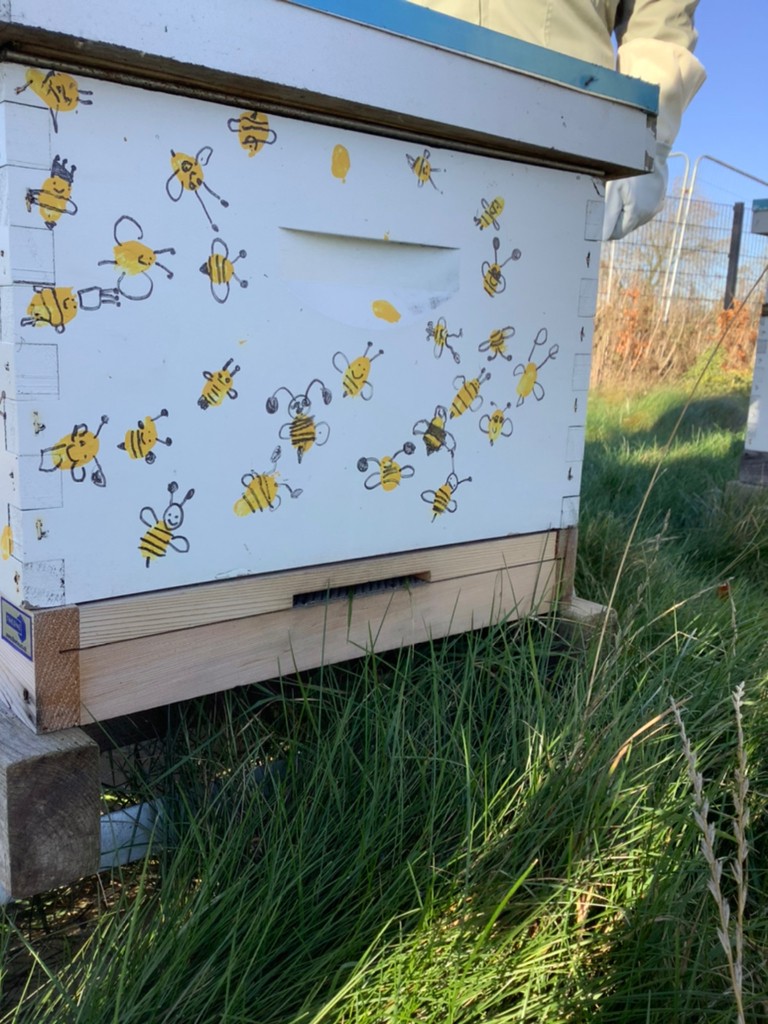 TheCambridgePS's tweet photo. Brilliant Beekeepers Club paid a very quick visit to our hives to check the winter stores. They can't wait to return in the spring! @TheCambridgePS #inspiringmindstogether @beekeepingkids https://t.co/DL0ZoMJ9CA