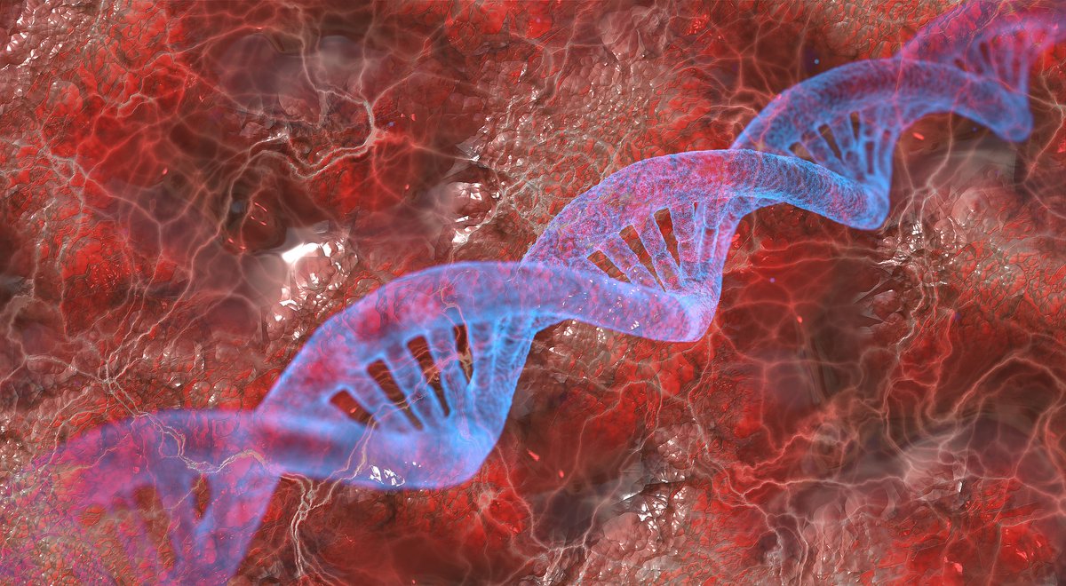 MPI_MolGen's tweet photo. 🧬 How much information on the tissue-specific regulation is there in enhancer sequences? @PhilippBenner2 (@VingronLab) deciphered and predicted sequence patterns characteristic for certain tissues. 

👉 https://t.co/mOiek7wvuj https://t.co/zSivzA01jK