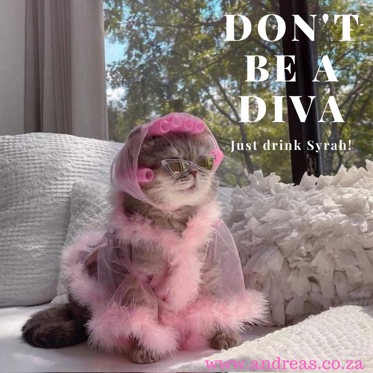 andreaswinesa's tweet photo. No more needs to be said!🐈🍷
Order your @andreaswinesa 2018 Syrah now and go MEOW!
View https://t.co/LqdT9tiJYE to order online!
Share your puurrfffeeecctt Diva moment with us!
#YAndreasSyrah #AndreasSyrahDiva
#Syrah #syrahwine #syrahlover #diva #glamcat #cat #kitty #catlove https://t.co/YlaKGAhbpz