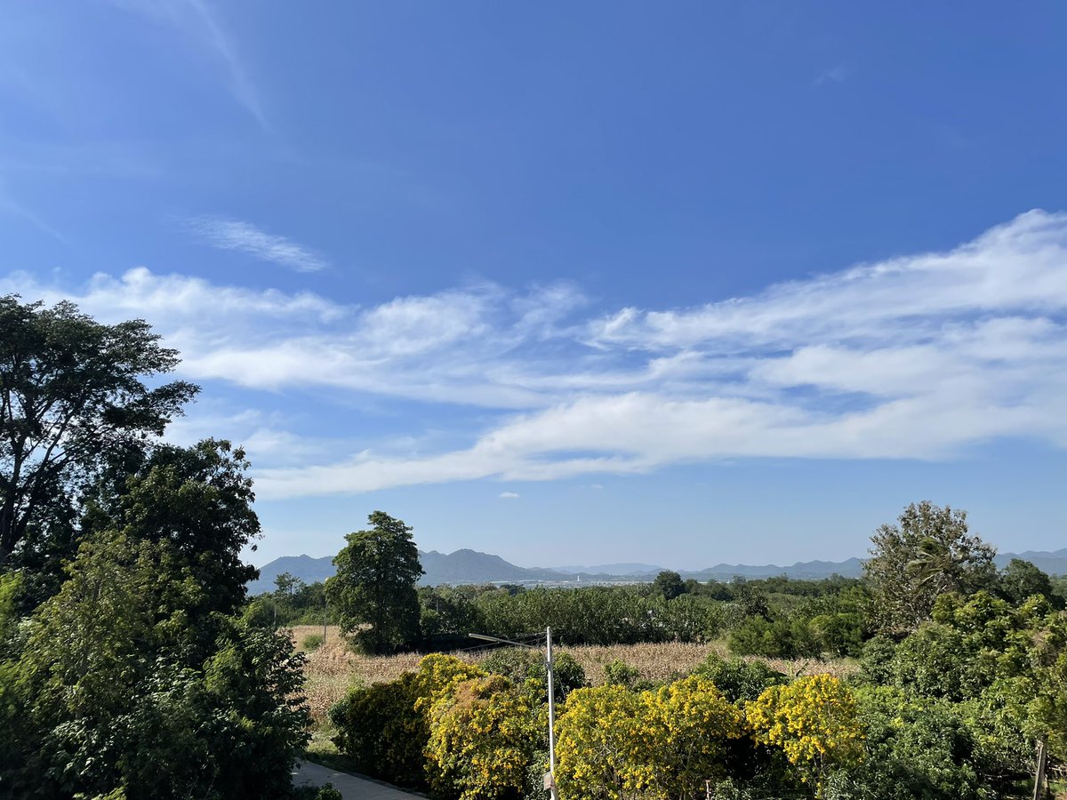 SilentoKuri's tweet photo. Fresh Air https://t.co/Vl8OqXeYyM