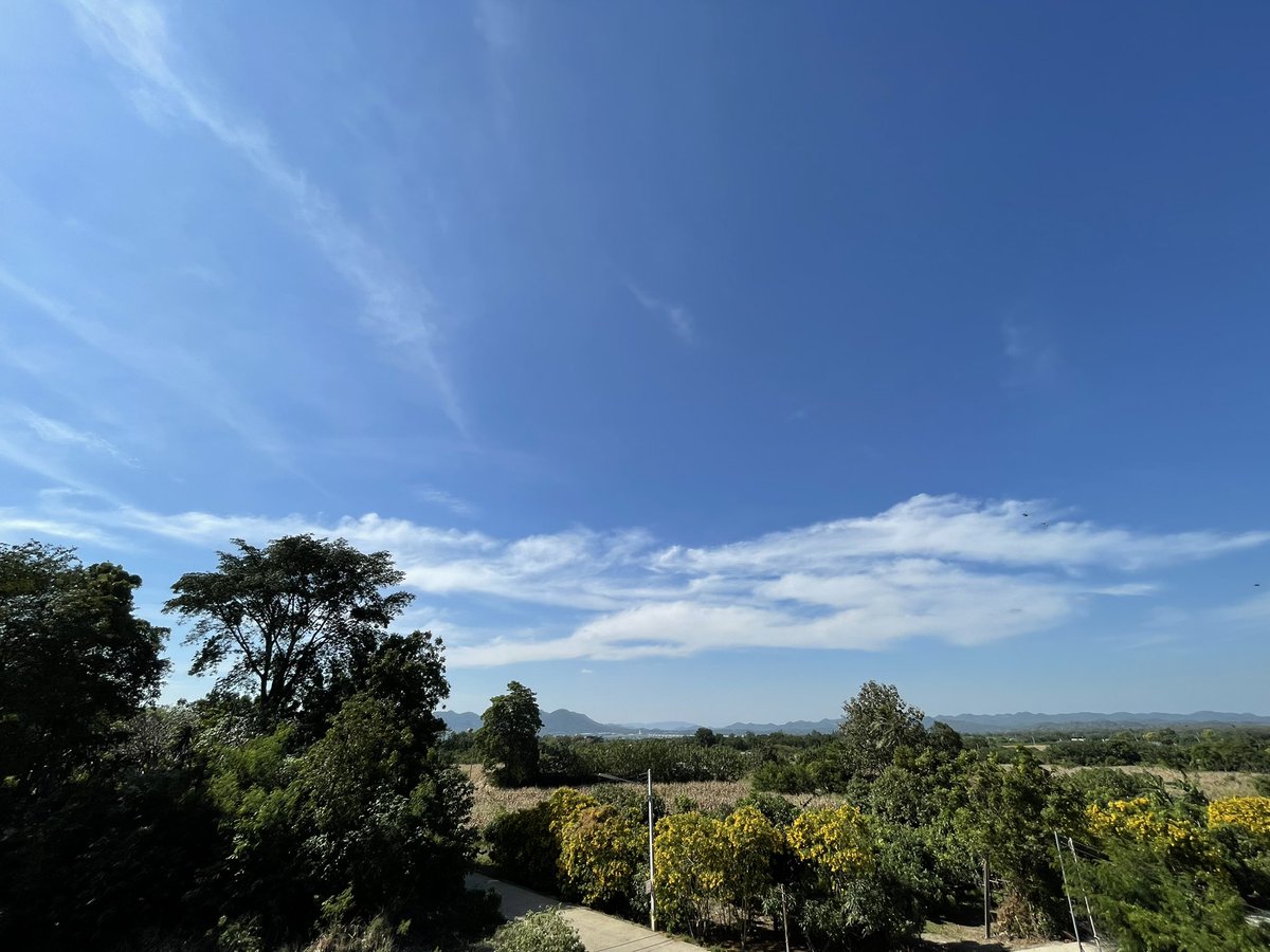 SilentoKuri's tweet photo. Fresh Air https://t.co/Vl8OqXeYyM