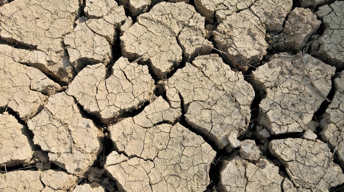 IIDMA_ecolaw's tweet photo. 🟢España se sumó en julio a la gran alianza contra el carbón @PastCoal y adquirió el compromiso de abandonar este combustible fósil en 2030 😷

📢En el IIDMA pedimos adelantar la fecha a 2025. Nuestra abogada @c_ruizbautista lo explica en @NatGeo ⤵️

https://t.co/9zZvmmgeKh https://t.co/35tpv7zk6j