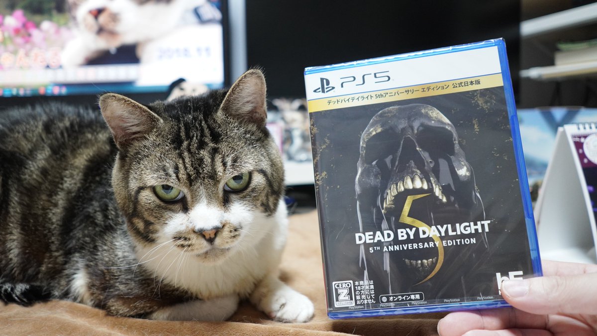 rikichan_yt's tweet photo. PS5のコントローラー修理から戻ってきたので、DbD5を買ったよ!またゲーム配信するね🤭🎵
ゲームチャンネルはこちら
https://t.co/WElatHcFUy
#DBD5 #アニバーサリーエディション #PS5 #リキちゃん #キジトラ #ねこ #キジシロ #猫と一緒 https://t.co/YGxzkct64Q