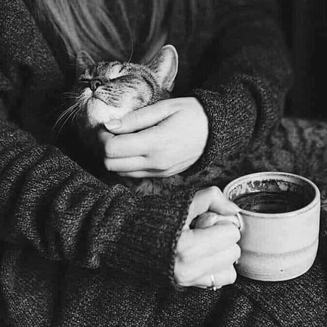 seda_kaygi's tweet photo. Zor günler sade  kahve gibidir ,
İçerken acı gelir ,
Bitince ayıltır...
Yanında saf tutanları 
Yanında sandıklarından ayırır...!
~#kahve ☕⛈☕ https://t.co/a1lQbi4QM0