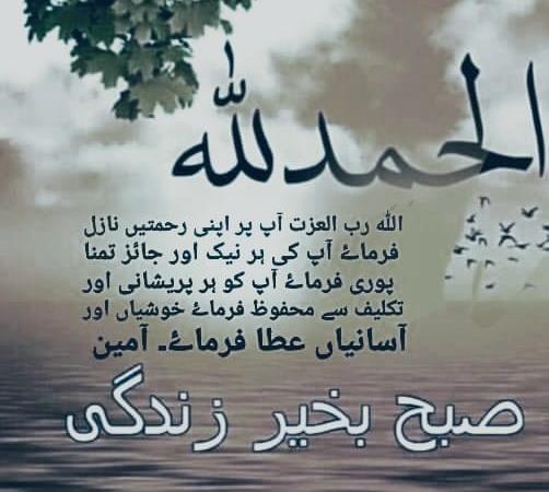 AroojFa20560958's tweet photo. @ali_inaam18 https://t.co/g1VNojsqP4
