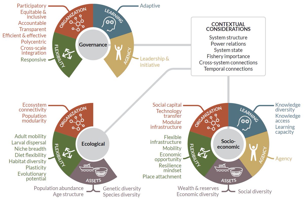 Mark Dickey-Collas π³οΈβπ (@dickeycollas) on Twitter photo Climate Resilience in Fisheries- Attributes defined & explored-theory to practice, finds paucity of studies testing across whole fisheries system. It was fantastic working with this team <a href="/juliagmason/">Julia Mason</a> <a href="/JacobEurich/">Jacob Eurich</a> <a href="/jacq_lau/">Jacqui Lau</a> <a href="/DrKathyMills/">Dr. Kathy Mills</a> <a href="/KleisnerKristin/">Kristin Kleisner</a>
onlinelibrary.wiley.com/doi/full/10.11β¦ Climate Resilience in Fisheries- Attributes defined & explored-theory to practice, finds paucity of studies testing across whole fisheries system. It was fantastic working with this team <a href="/juliagmason/">Julia Mason</a> <a href="/JacobEurich/">Jacob Eurich</a> <a href="/jacq_lau/">Jacqui Lau</a> <a href="/DrKathyMills/">Dr. Kathy Mills</a> <a href="/KleisnerKristin/">Kristin Kleisner</a>
onlinelibrary.wiley.com/doi/full/10.11β¦