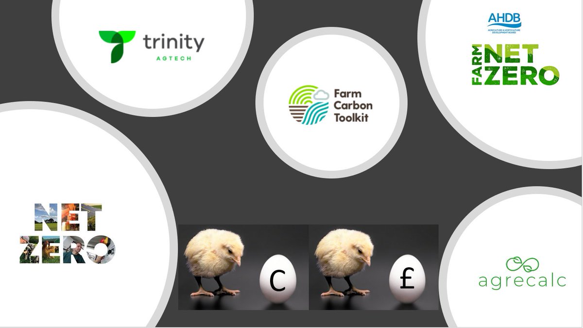 Petworth Monitor Farm Meeting - 10:30 Friday 03 December - *This Friday*
Join <a href="/chandlerfarming/">Mark Chandler</a> <a href="/HarleyStoddart/">Harley Stoddart</a> <a href="/TrinityAgTech/">Trinity AgTech</a> <a href="/alasdair_sykes/">Alasdair Sykes</a> discussing all things Carbon. Find out more and register here: 
ahdb.org.uk/events/petwort…
<a href="/AHDB_Cereals/">AHDB Cereals</a> @Cereals_SW  @emilypope_KT