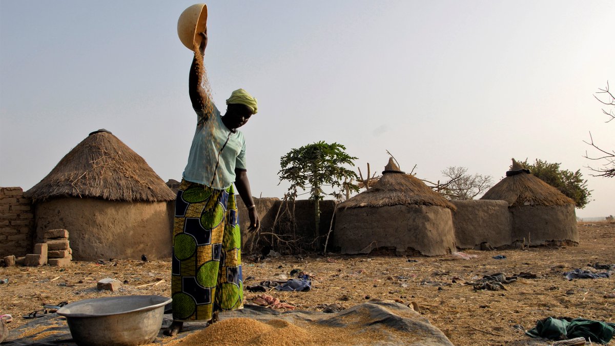 IFAD's tweet photo. At least three billion people today suffer from undernourishment, nutrition deficiencies, or have become overweight.

This is a clear consequence of the failure of #FoodSystems - one we can no longer ignore. https://t.co/570gv2j3Zf