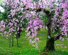 Logsdon Kruger (@logsdonkruger) on Twitter photo 