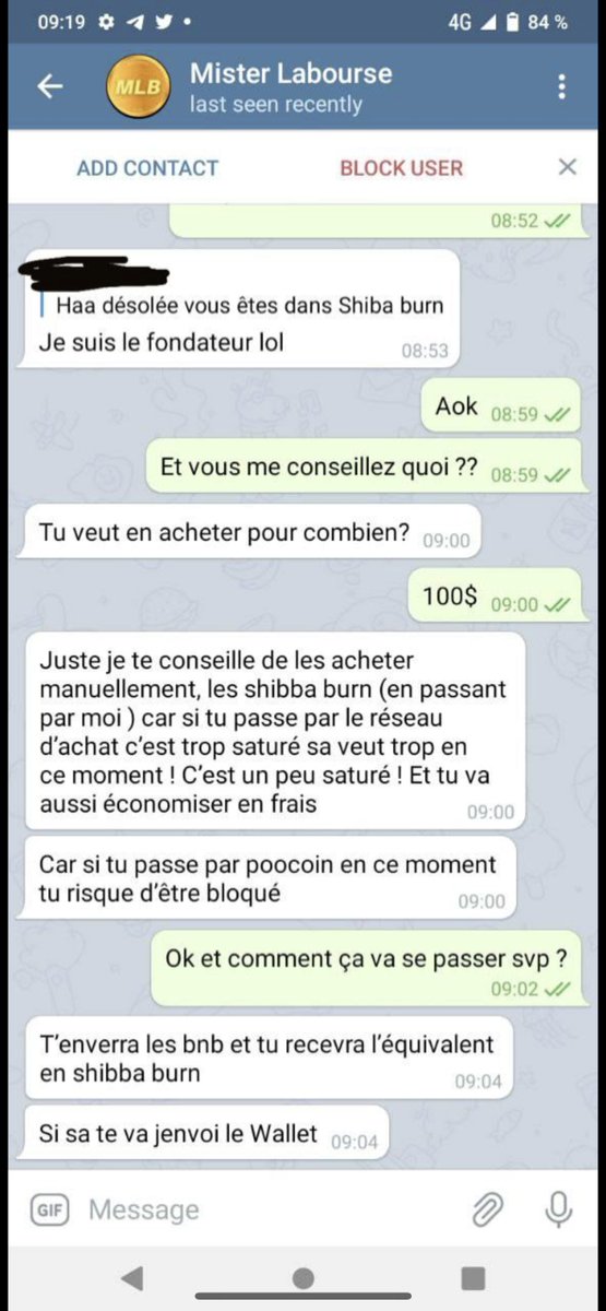 Shiba General tweet media