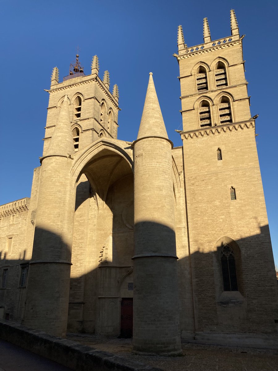 GrunauChristoph's tweet photo. Presentation of results of Junior Research Project @ihpe_lab obtained with generous support from LabEx #CeMEB in magnificent setting of the historical faculty of medicine in Montpellier. https://t.co/F6vg2qfSbu