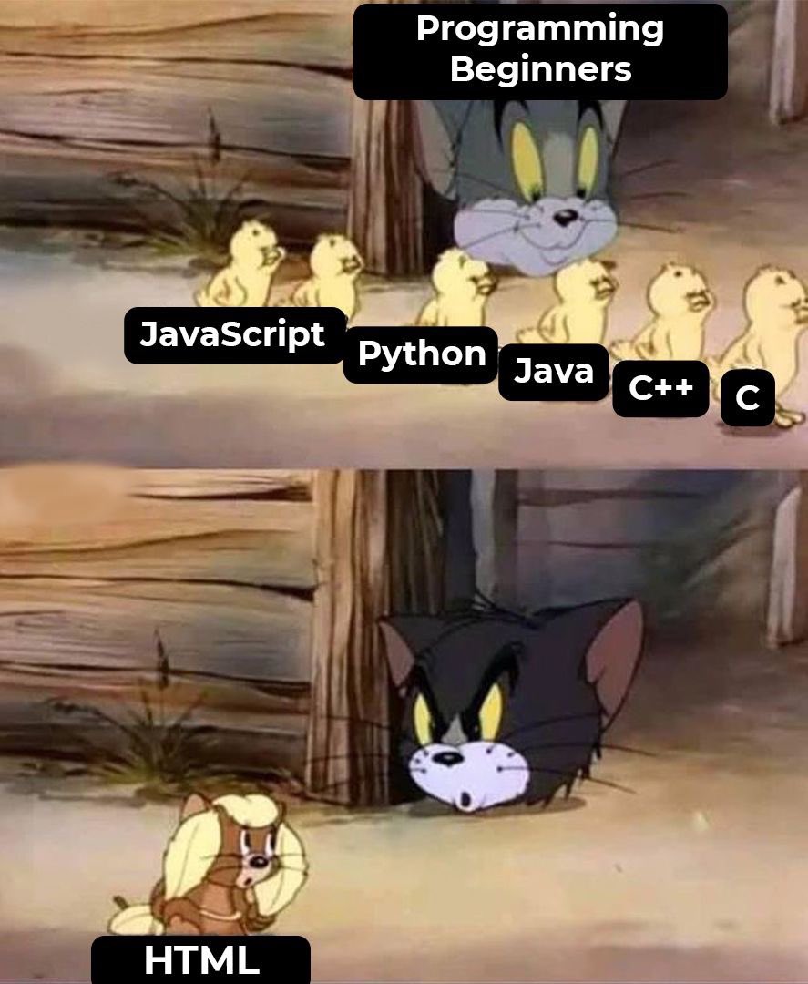 code_insights's tweet image. 