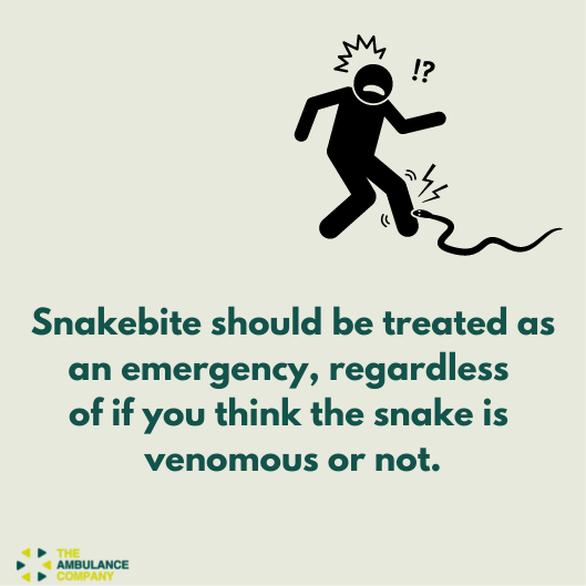 Theambcompany's tweet photo. Having these tips in mind might help save a life.
.
.
Swipe left to learn first aid care for snake bites.
#survivingasnakebite #firstaidcare #emergencymedicalcare #Ambco https://t.co/Z69WGLdLE7