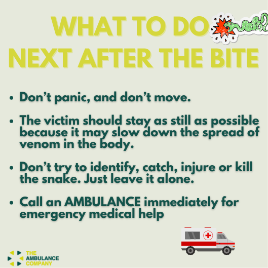 Theambcompany's tweet photo. Having these tips in mind might help save a life.
.
.
Swipe left to learn first aid care for snake bites.
#survivingasnakebite #firstaidcare #emergencymedicalcare #Ambco https://t.co/Z69WGLdLE7