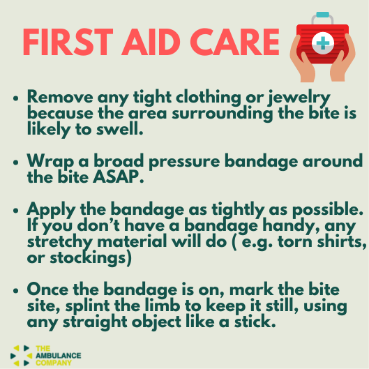 Theambcompany's tweet photo. Having these tips in mind might help save a life.
.
.
Swipe left to learn first aid care for snake bites.
#survivingasnakebite #firstaidcare #emergencymedicalcare #Ambco https://t.co/Z69WGLdLE7