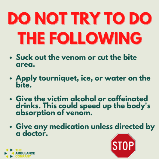 Theambcompany's tweet photo. Having these tips in mind might help save a life.
.
.
Swipe left to learn first aid care for snake bites.
#survivingasnakebite #firstaidcare #emergencymedicalcare #Ambco https://t.co/Z69WGLdLE7