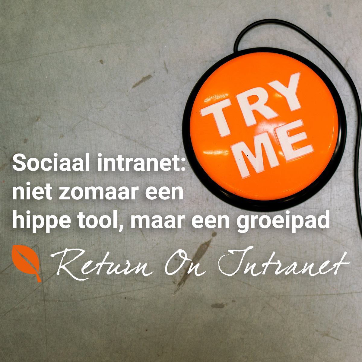 Een glimmend hip gadget-intranet én binnen een dag live. Dan ben je er wel. Toch? Nee. Sociaal intranet is een groeipad. Kies een samenwerkingspartner die je ook na de projectfase blijft begeleiden bij jouw ambitie. Hoe? Lees erover in ons ROI-boekje: winkwaves.com/#whitepaper