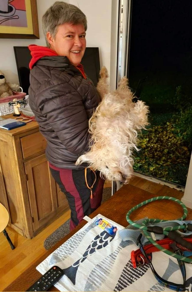 woofstockuk's tweet photo. Does anyone else's dog pretend to be asleep so it doesn't have to go for a pre bedtime pee in the cold and dark ๐ค
Our very own Jake does every single night ๐คฃ
#dogsofwoofstock #dogsoftwitter #sleepingdogs #sleepingdogsoftwitter https://t.co/e1cVFNLZV8
