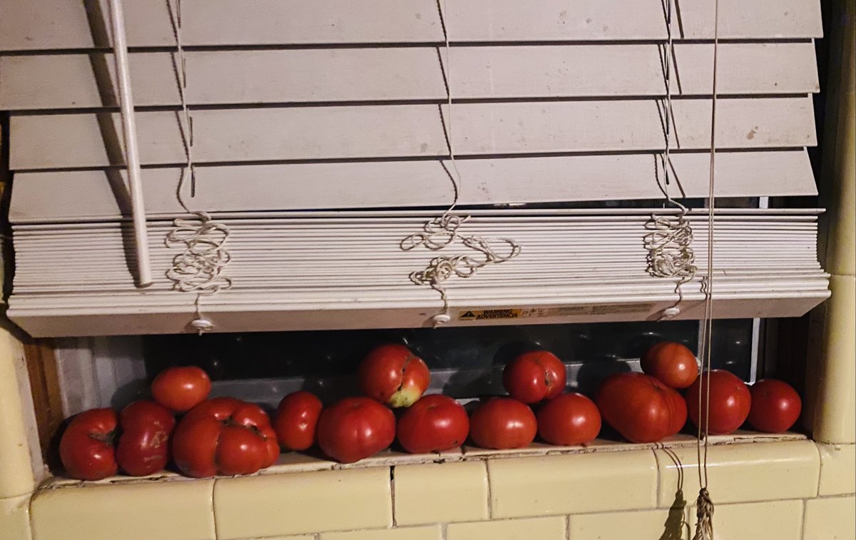 Red tomatoes in December?  Know where your food comes from.  Rent equip. from gprents.com