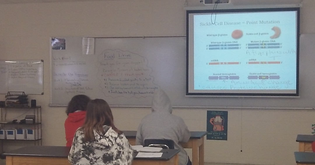 ReedsSpringHS's tweet image. Ms. Wilson's class reviewing Protein Synthesis and Mutations. #WolvesAtWork #TheoryTuesday #AcademicExcellence #ONEwiththePACK