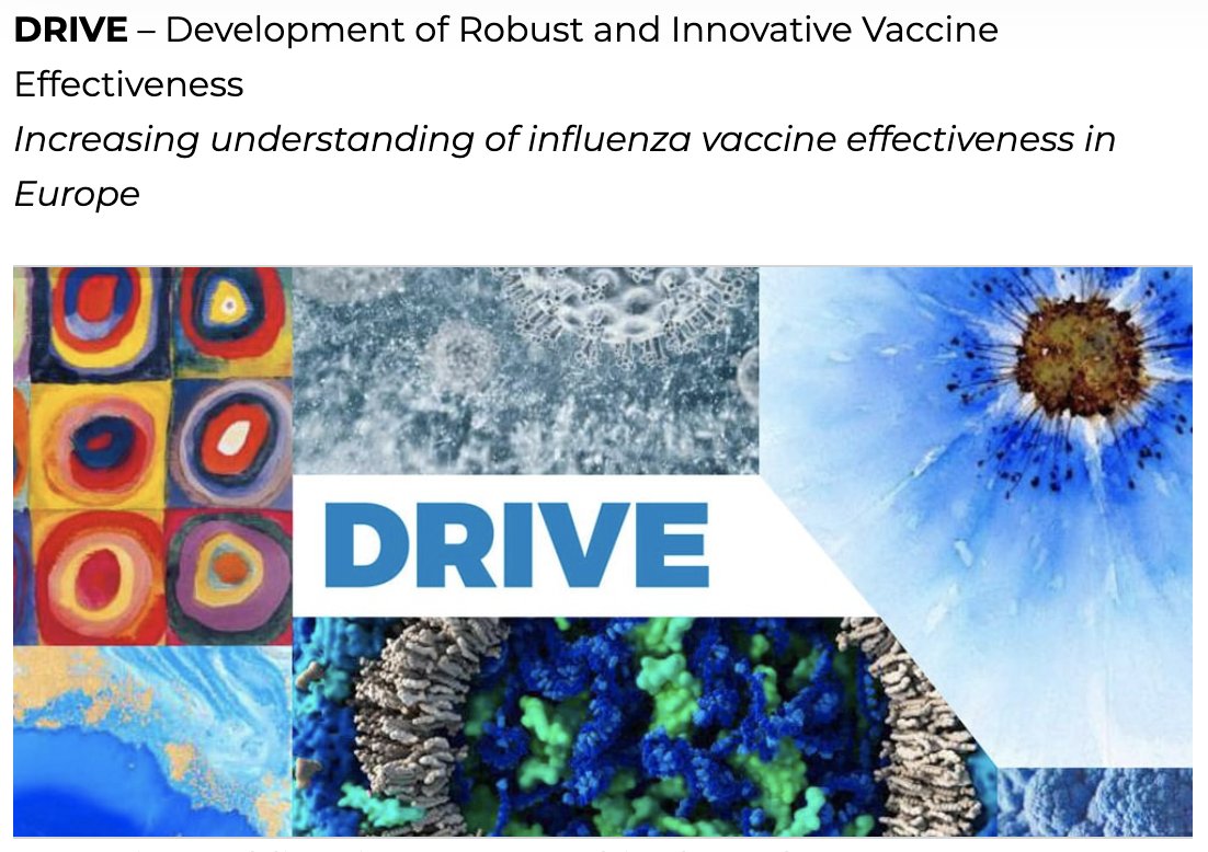 drive_eu's tweet photo. The Annual Forum 2021 of @drive_eu funded by @IMI_JU  on "Brand specific #vaccine #effectiveness platforms for #influenza and #COVID19” is over.
Thank you for being with us, see you next year for the project closure! https://t.co/H8h84pOsnL
