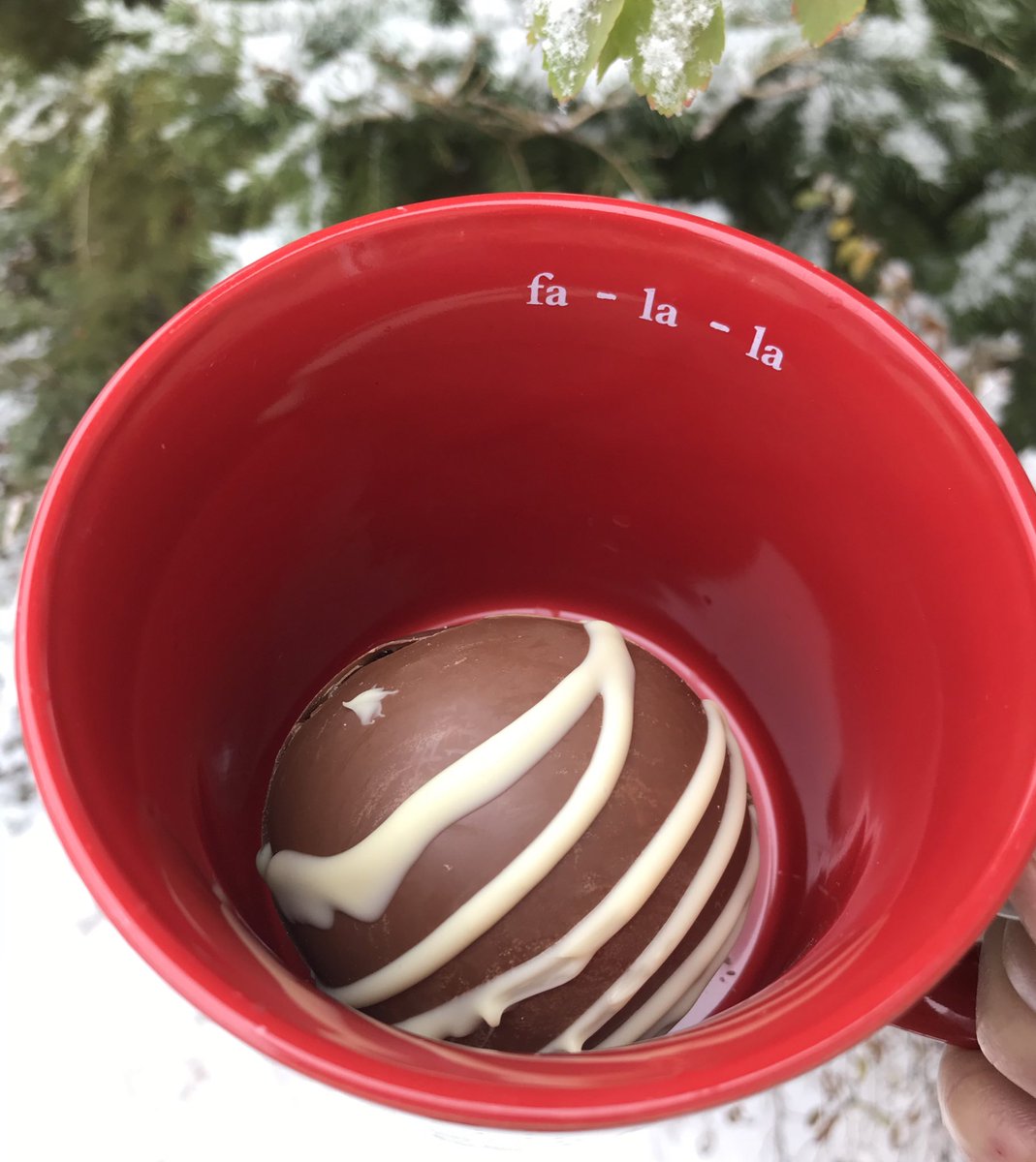 All this snow calls for a homemade hot cocoa bomb. Lots of chocolate and marshmallows! Happy Tuesday!