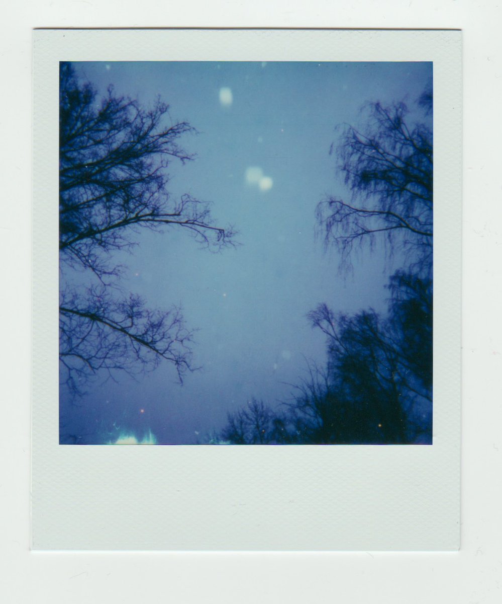 AnnaTsvell's tweet photo. Last day of November,2 of my today’s @Polaroid shots
#polaroid #polaroidphotography #polaroidpicture #polaroidoriginals #polaroid600 #mypolaroidnow #polaroidcommunity #instantphotography #instantphotographers #analogphotography #filmphotography #color600film https://t.co/m6C4dPPmgs