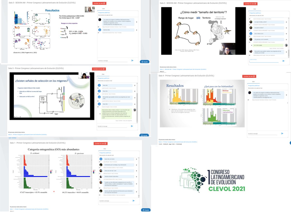 Corriendo las 5 Sesiones Paralelas de Charlas Orales del #clevol2021,  excelentes presentaciones de muchas tematicas ven y haz tus preguntas en el chat para los expositores!!!