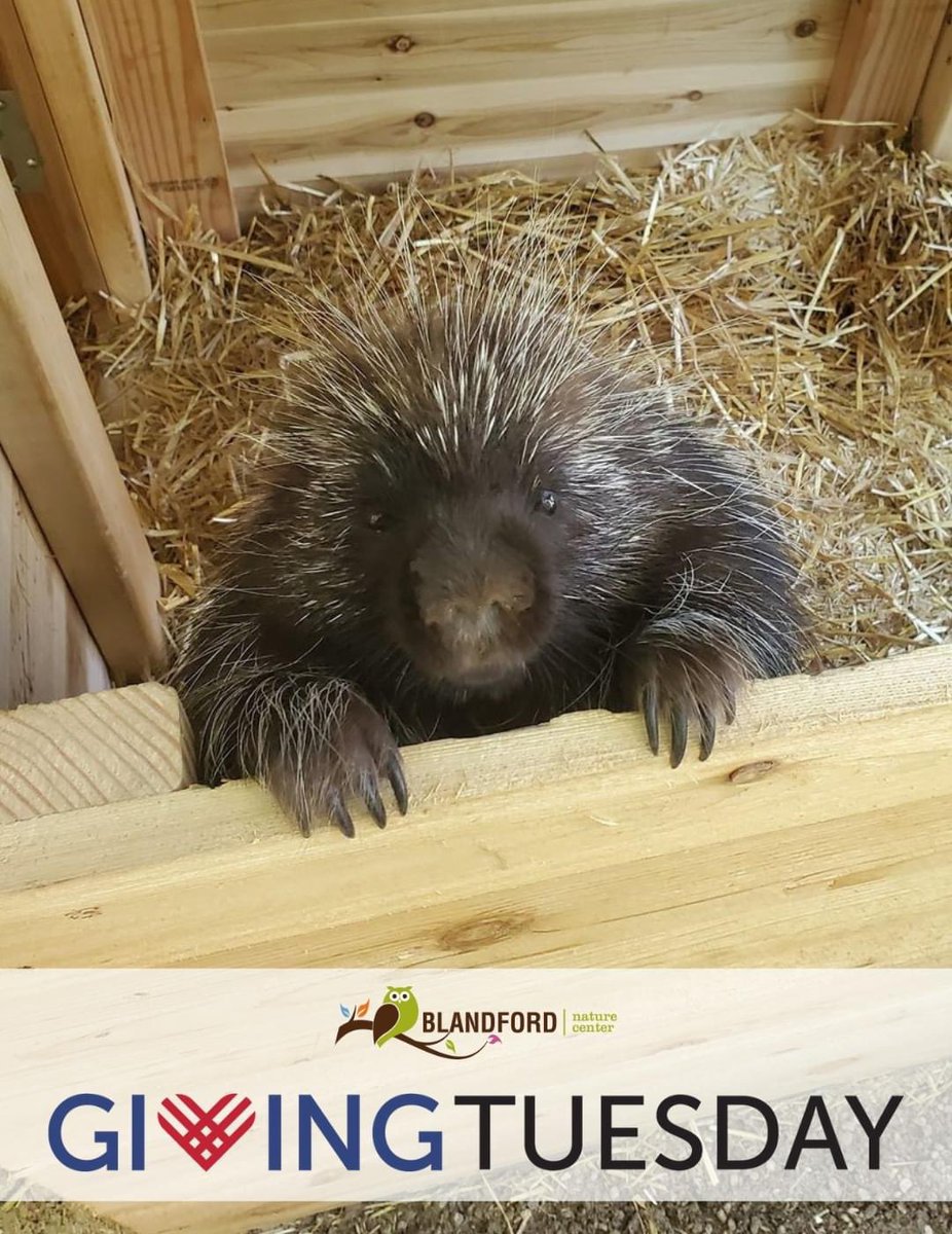 It’s #GivingTuesday! Show your support for wildlife and outdoor education today to see your gift matched and your impact doubled. Follow the link in our bio to donate!