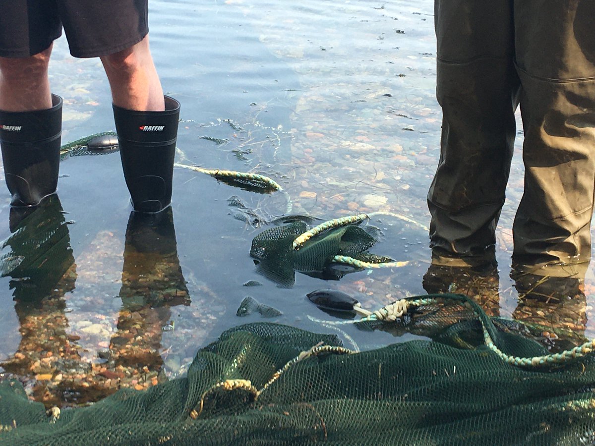 coastalXnl's tweet photo. Teachers today are building a new learning culture based on #experientiallearning and #deeplearning. We facilitate learning experiences for teachers in #OceanSTEM. They get their hands dirty (and sometimes feet wet). This enables them to pass on the magic to their students. https://t.co/9EbJjvOhzd