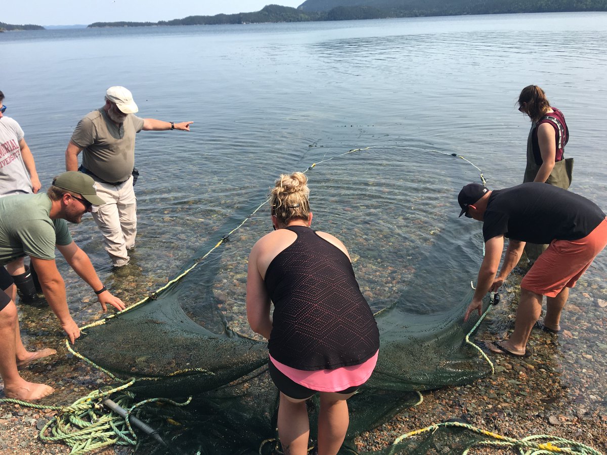 coastalXnl's tweet photo. Teachers today are building a new learning culture based on #experientiallearning and #deeplearning. We facilitate learning experiences for teachers in #OceanSTEM. They get their hands dirty (and sometimes feet wet). This enables them to pass on the magic to their students. https://t.co/9EbJjvOhzd
