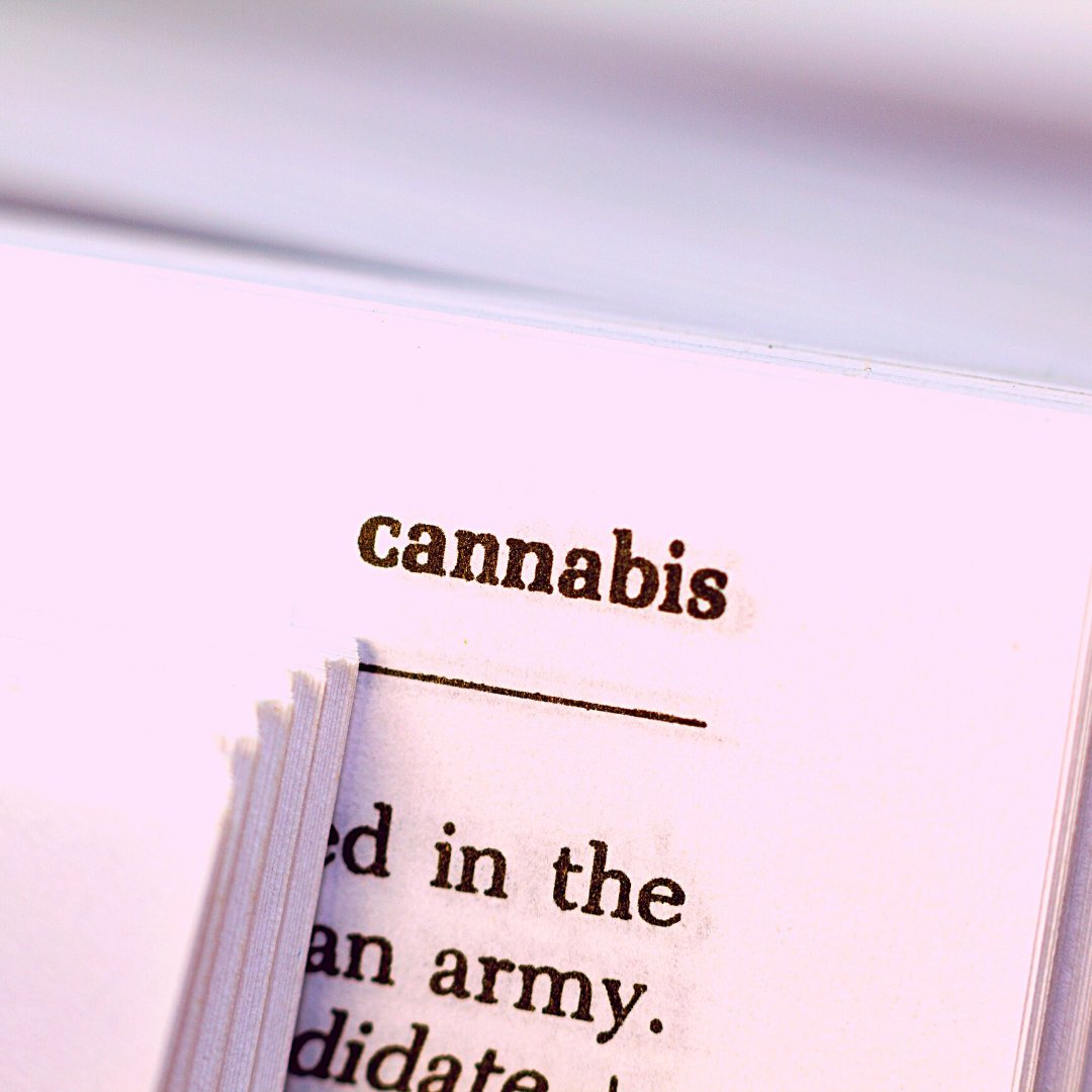 ThinkHempChicks's tweet photo. What does Cannabis mean to you?🍃 💝
#weed #cannabis #weedstagram #cannabiscommunity #marijuana #dank #ganja #thc #life #stoner #smoke #cannabisculture #memes #maryjane #high #dabs #kush #highlife #funny #highsociety #bud #ganjagirls #pot  #joint #medicalmarijuana #indica https://t.co/g50p79OMgc