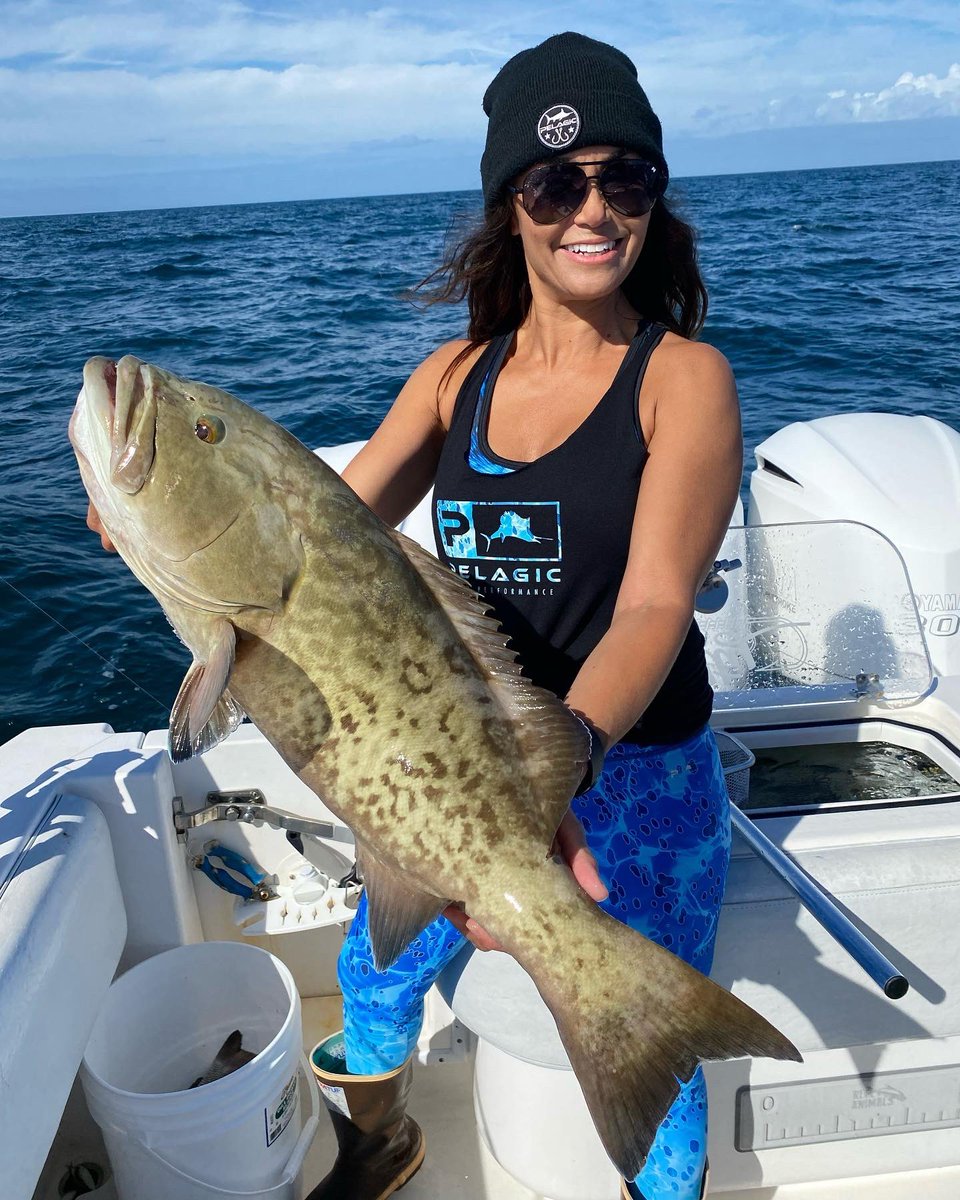 Genguinly stoked for this gag grouper! So many ways to prepare and each way is delicious! <a href="/PelagicGear/">Pelagic Gear</a> #grouper #offshore #tampabay #gulfofmexico #TacoTuesday