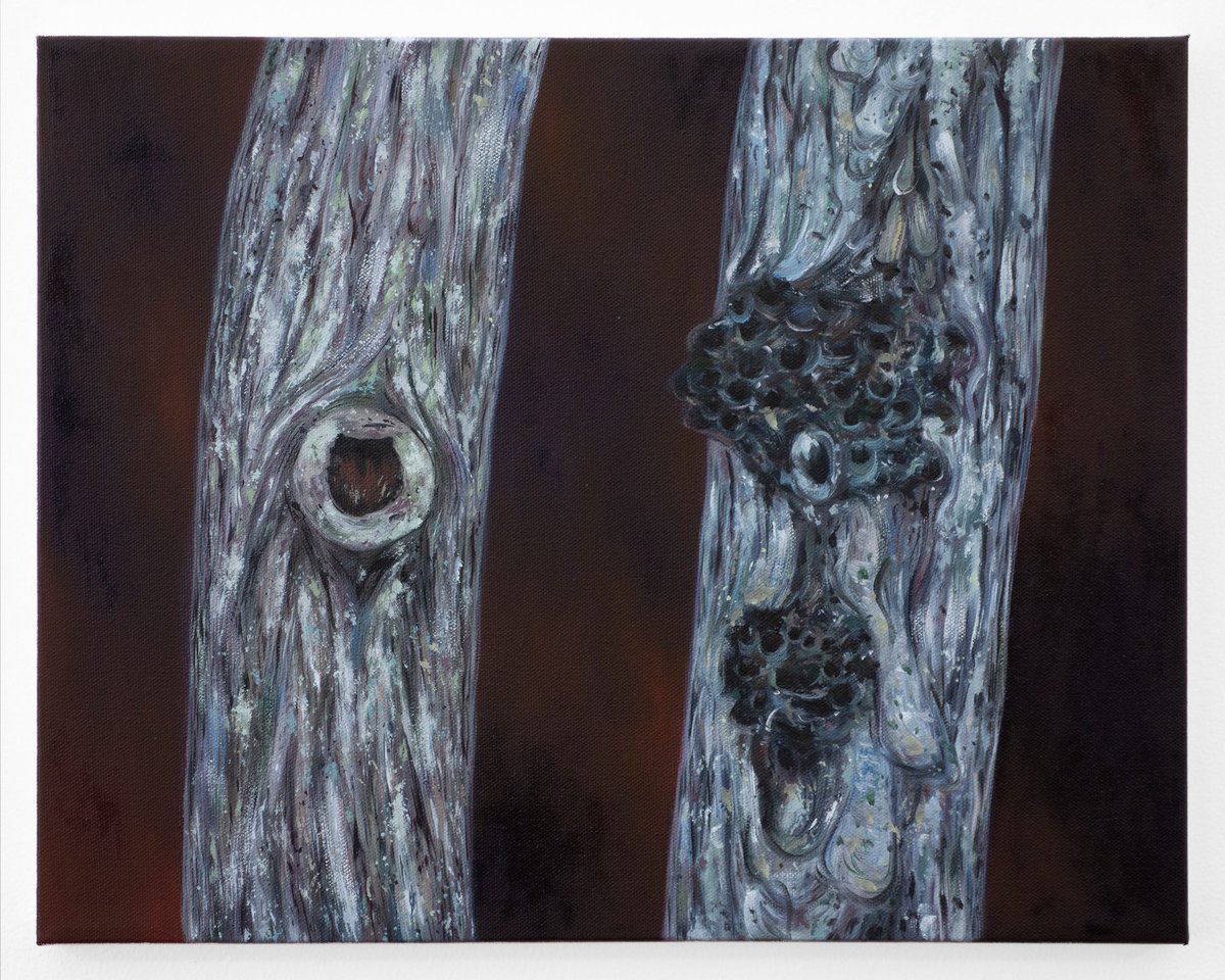 AndersenWoof's tweet photo. https://t.co/rlLLo3sB9l
"Just Think I'm Dead", 2021, oil on canvas, 14x18 inches
#oilpainting #contemporaryart #treetrunk #figurativeart #artcollector #artcurator #contemporarypainting #originalart #happyandsad #joyandpain #artistlife #paintingcollection https://t.co/rgvvhOMitO