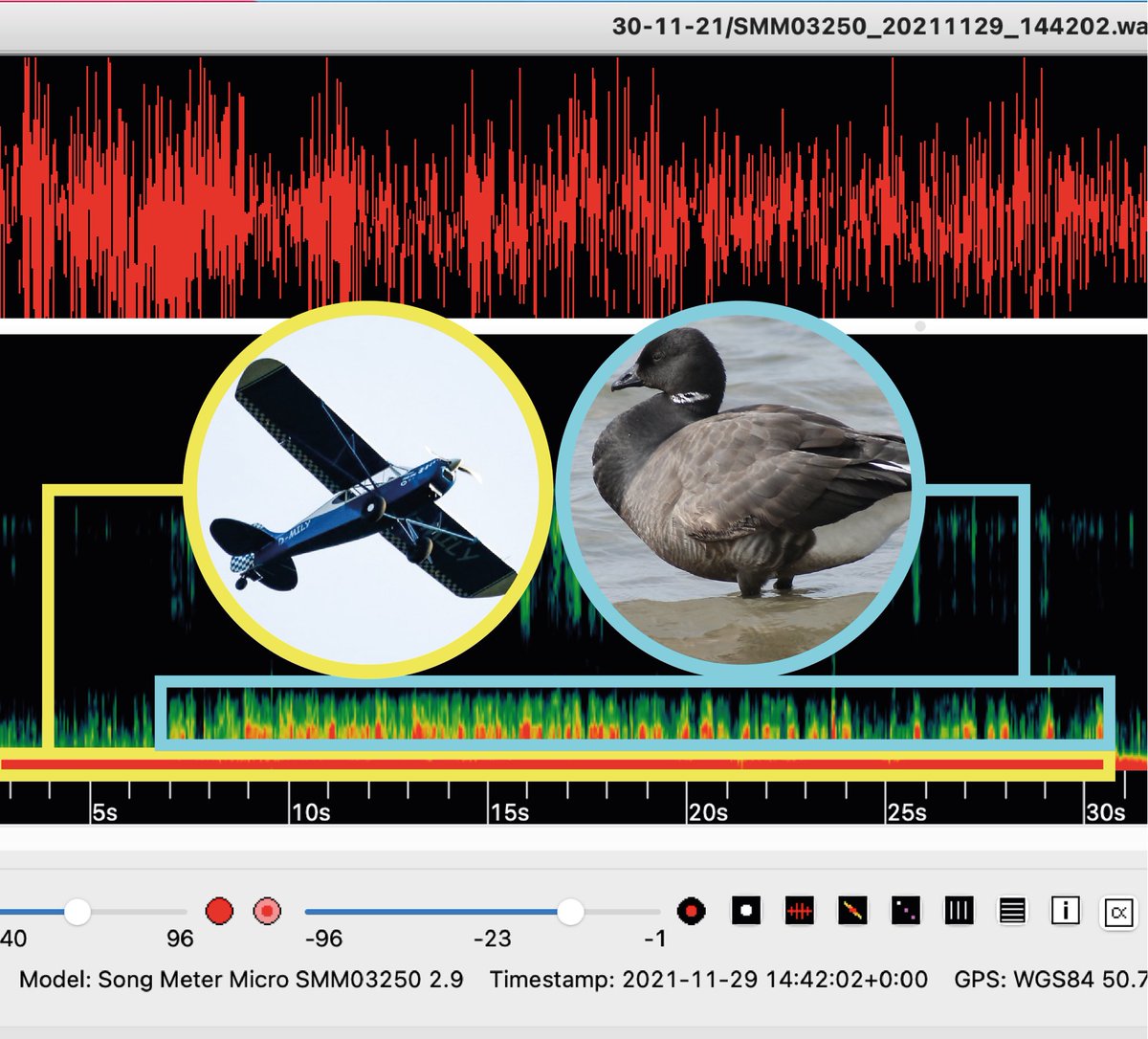 _jake_robinson's tweet photo. Using #ecoacoustics to investigate Brent geese behaviour. Yellow box is a low flying plane; blue box is 200+ geese going nuts #WildlifeAcoustics #Conservation https://t.co/5khsatSXGr