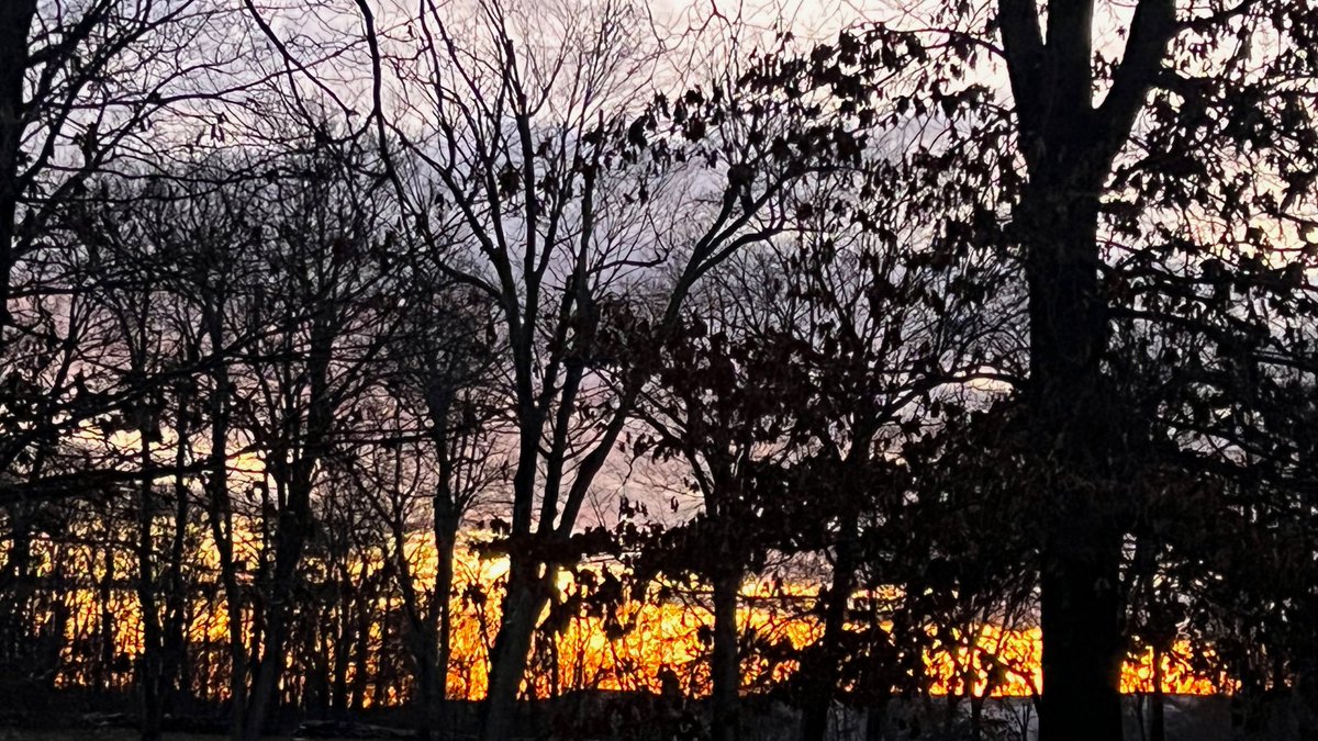 Lin_Manuel's tweet photo. Saw this on the morning run and thought, "Oh, it's an artwork-for-Into-The-Woods-sunrise." Then thought, "The sun comes up, I think about you/the coffee cup, i think about you..." Marin sang it brilliantly at his 80th... https://t.co/n6aUDKVzCF -LMM https://t.co/lSjagJfF3k