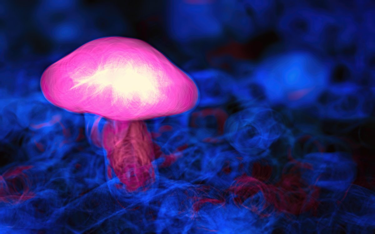 “…psilocybin can offer a means to reconnect to our true nature—our authentic self—and thereby help find meaning in our lives.”

"Shrooming" - 10/10 Editions - 2 $XTZ 

<a href="/objktcom/">objkt</a> 
👉objkt.link/564125

<a href="/HicetnuncArt/">Hicetnunc Art</a> 
👉hicetnunc.art/objkt/564125