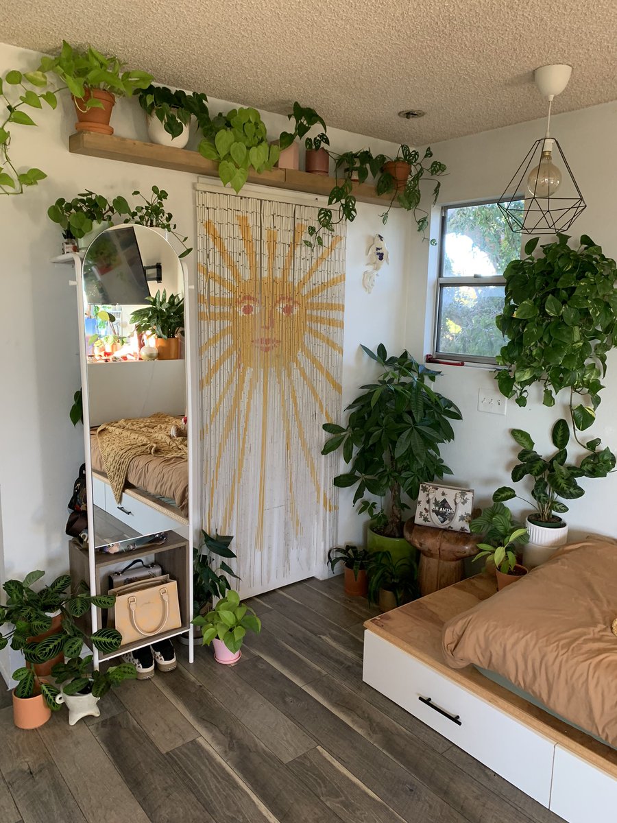 sincerelyart's tweet photo. just our little studio &amp; my 67 healthy plants that bring this space so much life 🌱🪴 https://t.co/pk2xamFExc