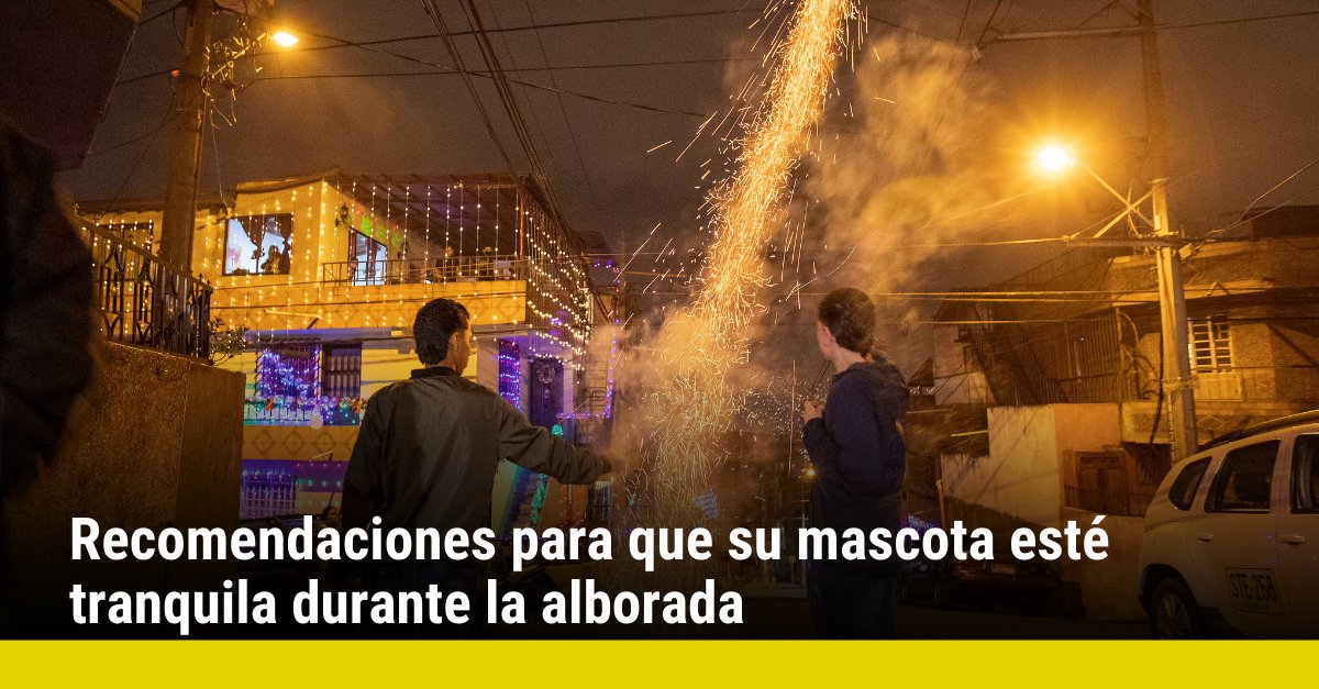 elcolombiano's tweet photo. ¿Tienes mascotas en casa? Acá te dejamos algunas recomendaciones para conserve la calma durante la quema de pólvora de la alborada ▶️https://t.co/jBDlHj4uhS https://t.co/3QfV4tyChS