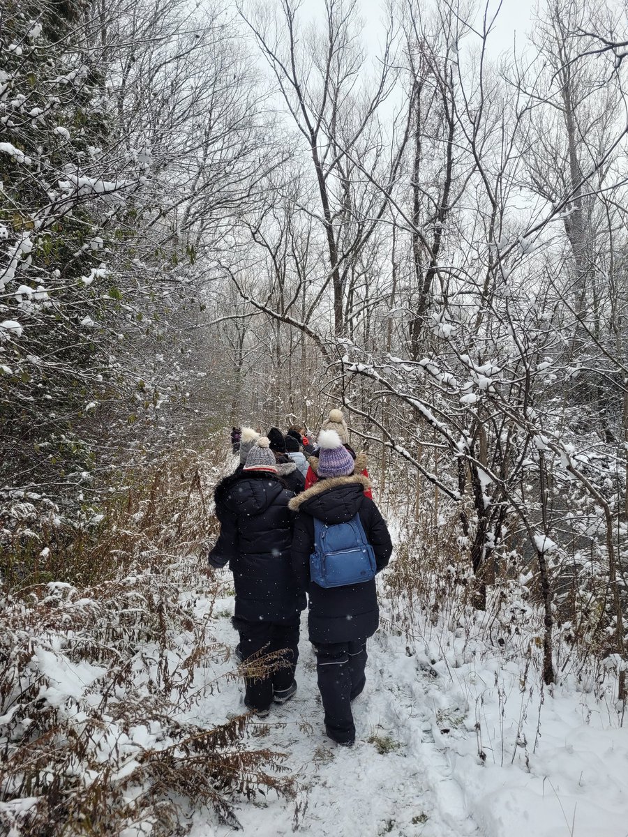 Beautiful day for a visit to <a href="/ForestValleyOEC/">Forest Valley OEC</a>